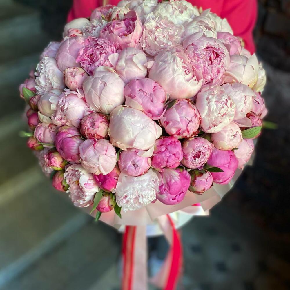 Букет из 101 розового пиона в дизайнерской коробке 