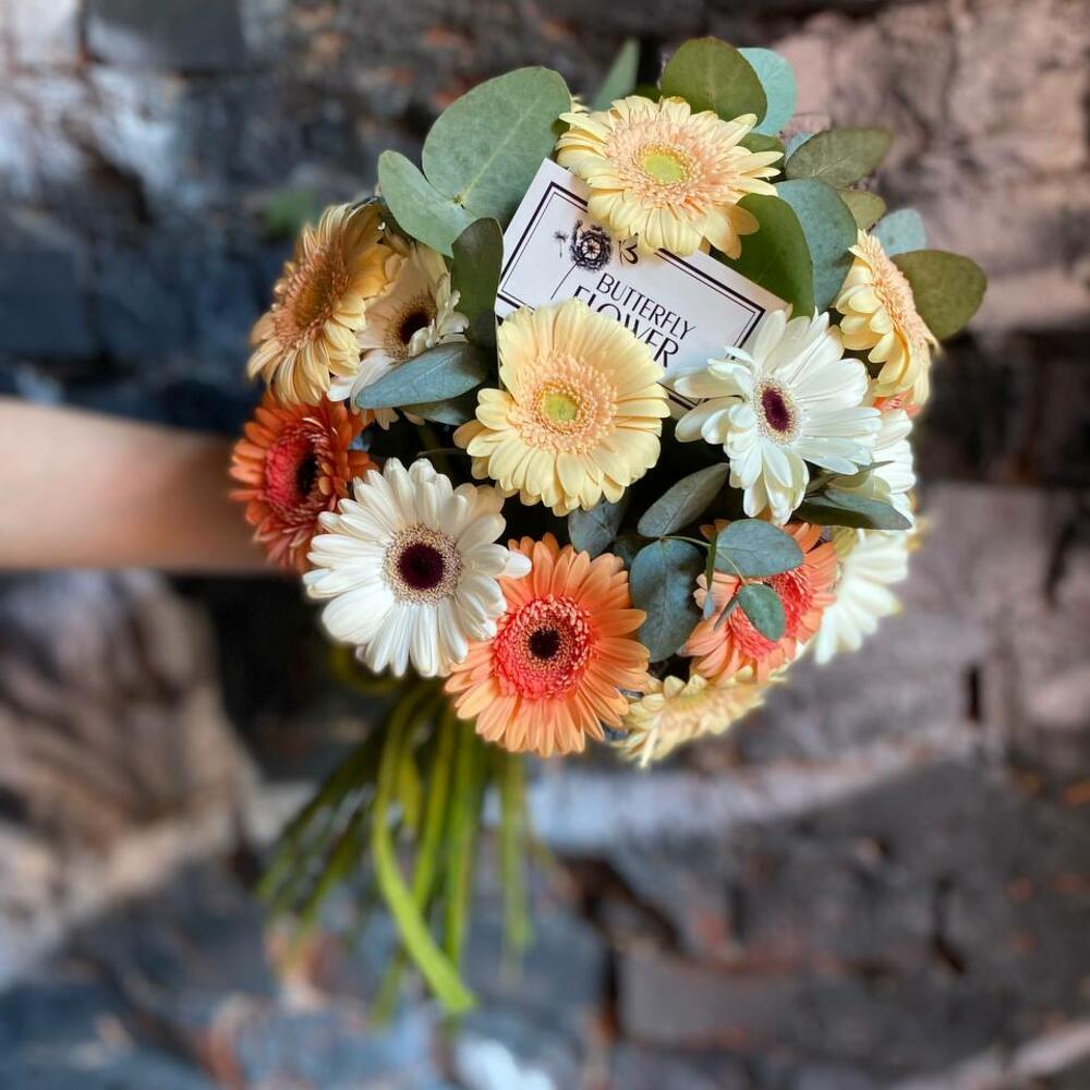 Букет из 25 разноцветных мини-гербер и эвкалипта 