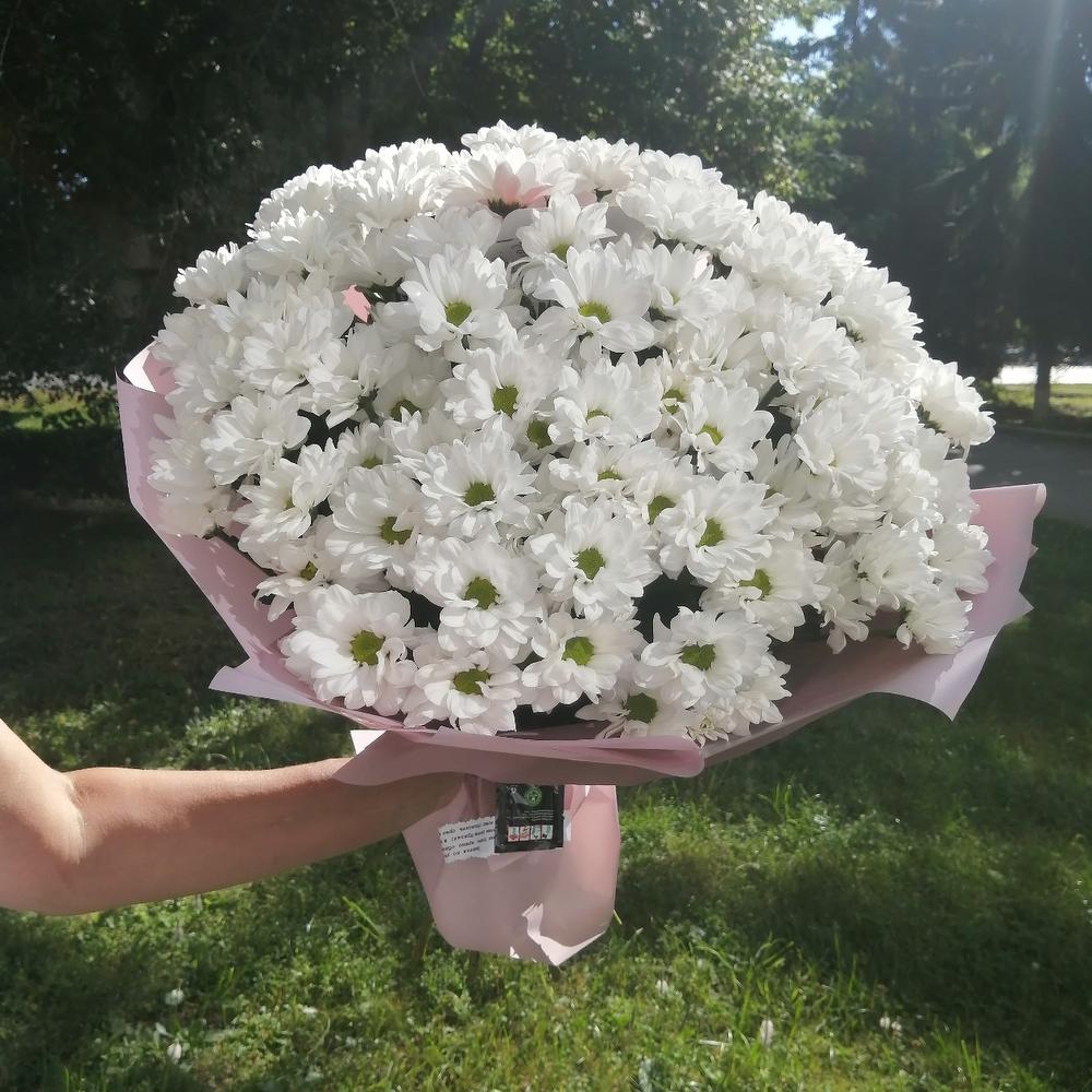 Ромашковое поле Киев