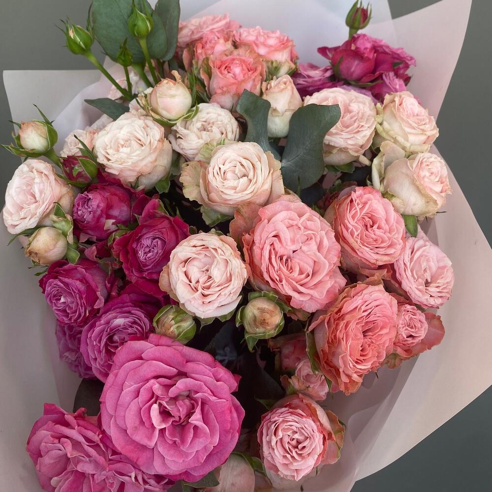 Силамазе - красота